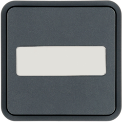 Tecla 1c. para pulsador BA W.1, con regleta de inscripción, gris